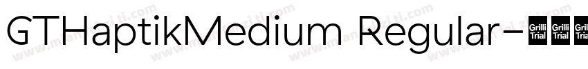 GTHaptikMedium Regular字体转换